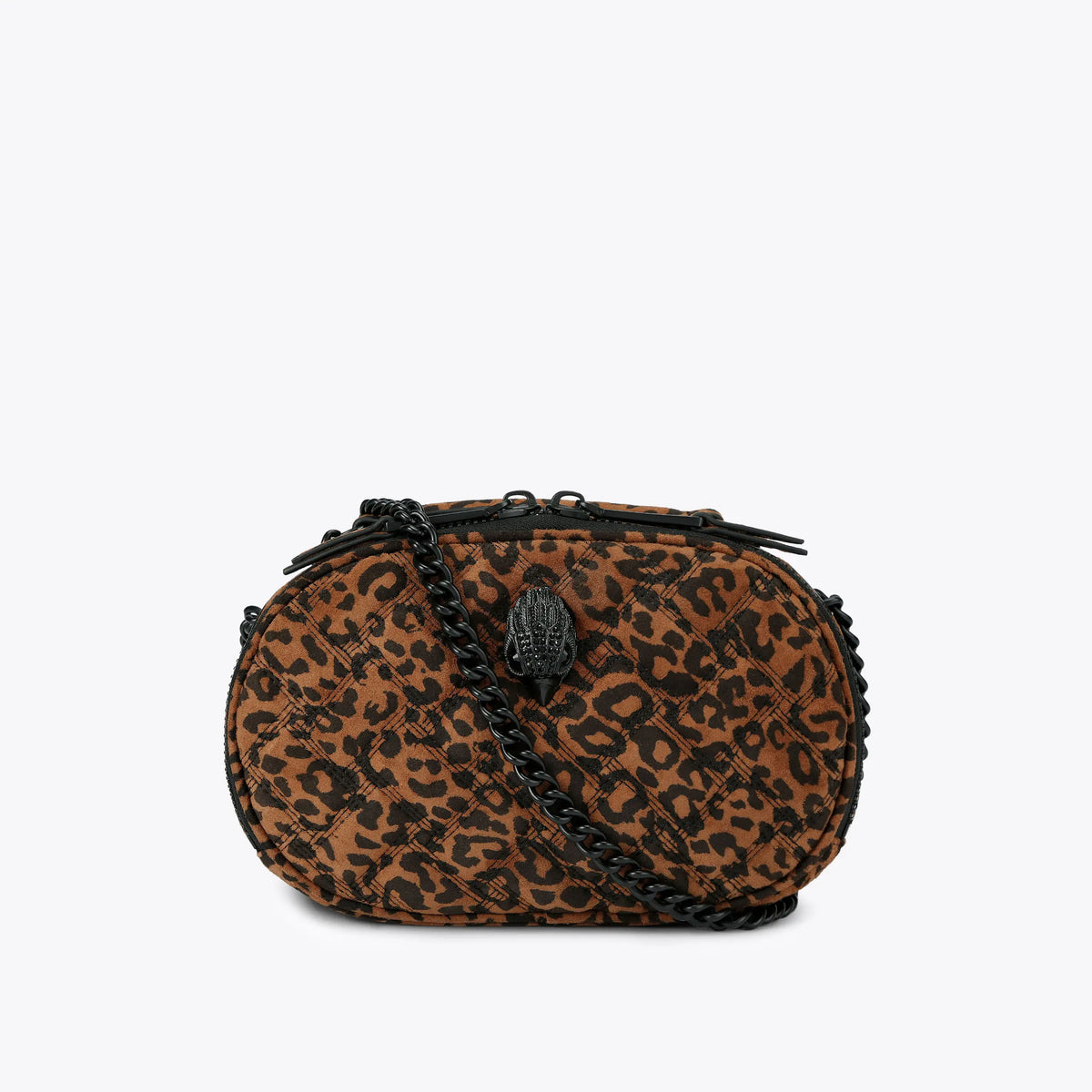 kensington oval camera